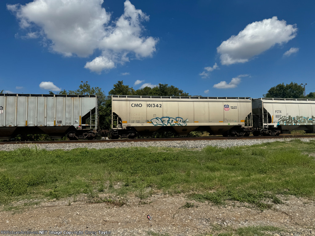 CMO 101342